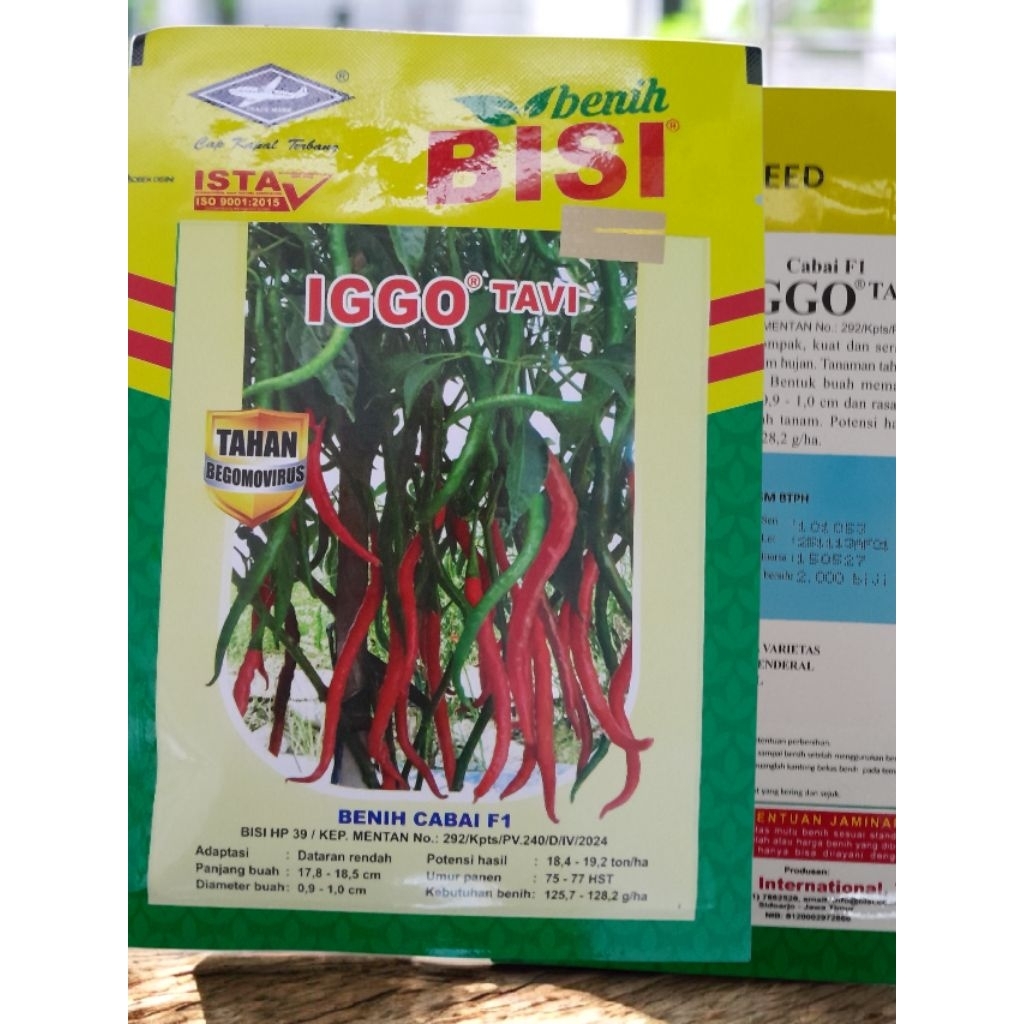 Benih Cabe Iggo Tavi isi 2000biji