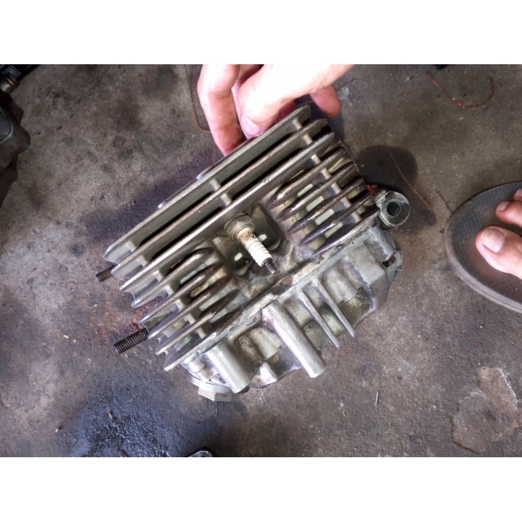 Head kop tiger revo kosongan ori cepotan