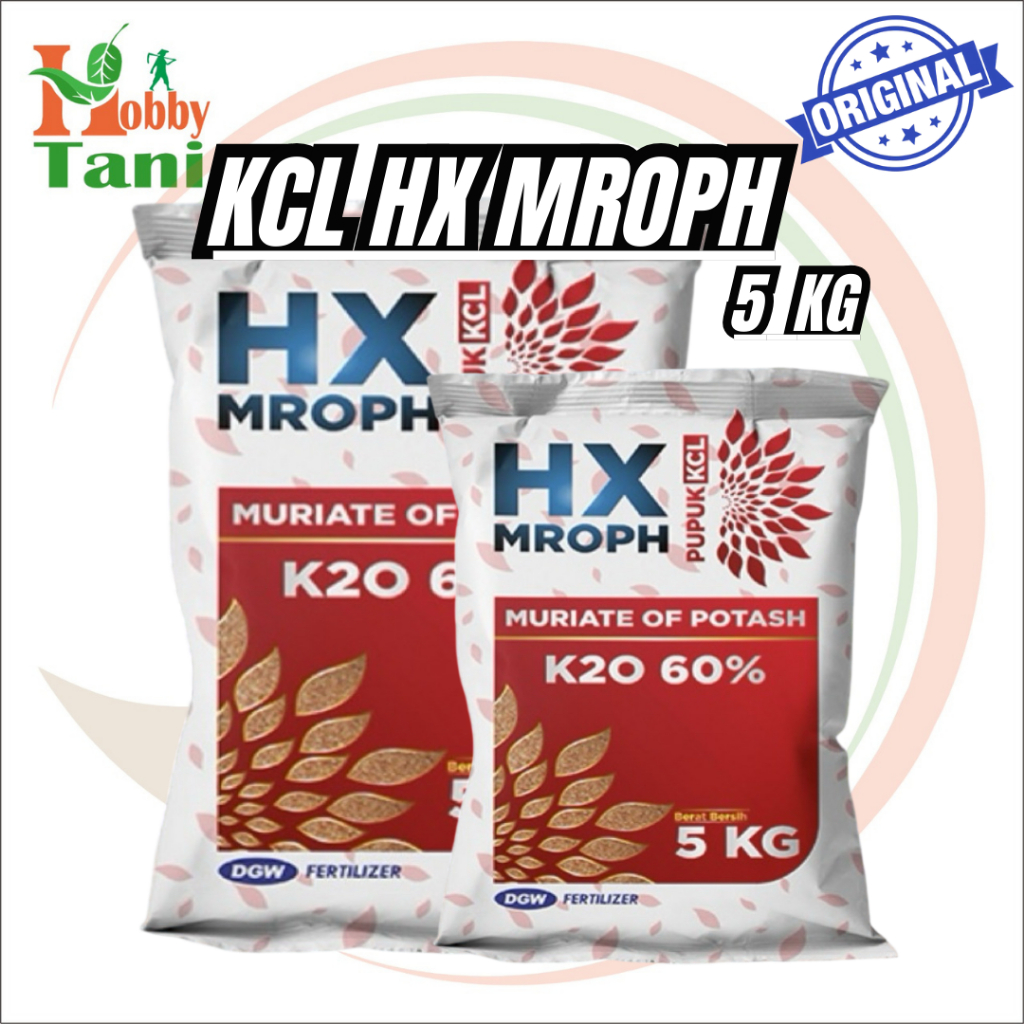 KCL HX MROPH 5 Kg Pupuk K2O (Kalium) 60% Meningkatkan Hasil dan Kualitas Panen DGW Hextar Fertilizer