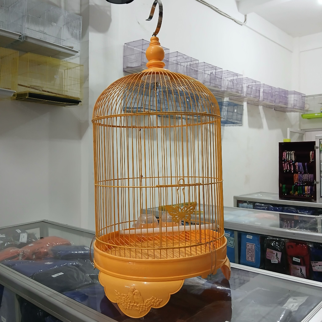 0604-KUNING KECIL SANGKAR BESI LOVEBIRD