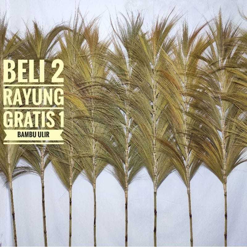 Dekorasi Rumah Bunga Rayung Kering Natural / Homedecor Rayung natural /Rayung Kering Rustic