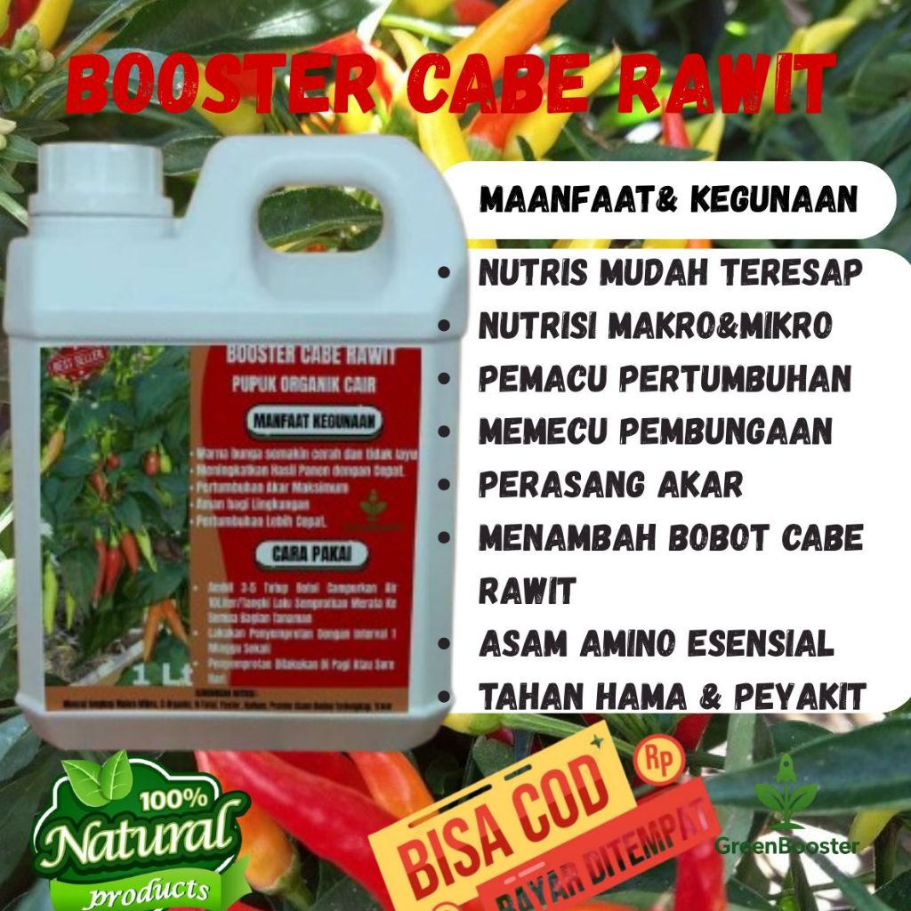 Pupuk Cabe Rawit Agar Berbuah Lebat / Pupuk Cabe Anti Rontok Keriting / Pupuk Cabe Berbuah Lebat / P