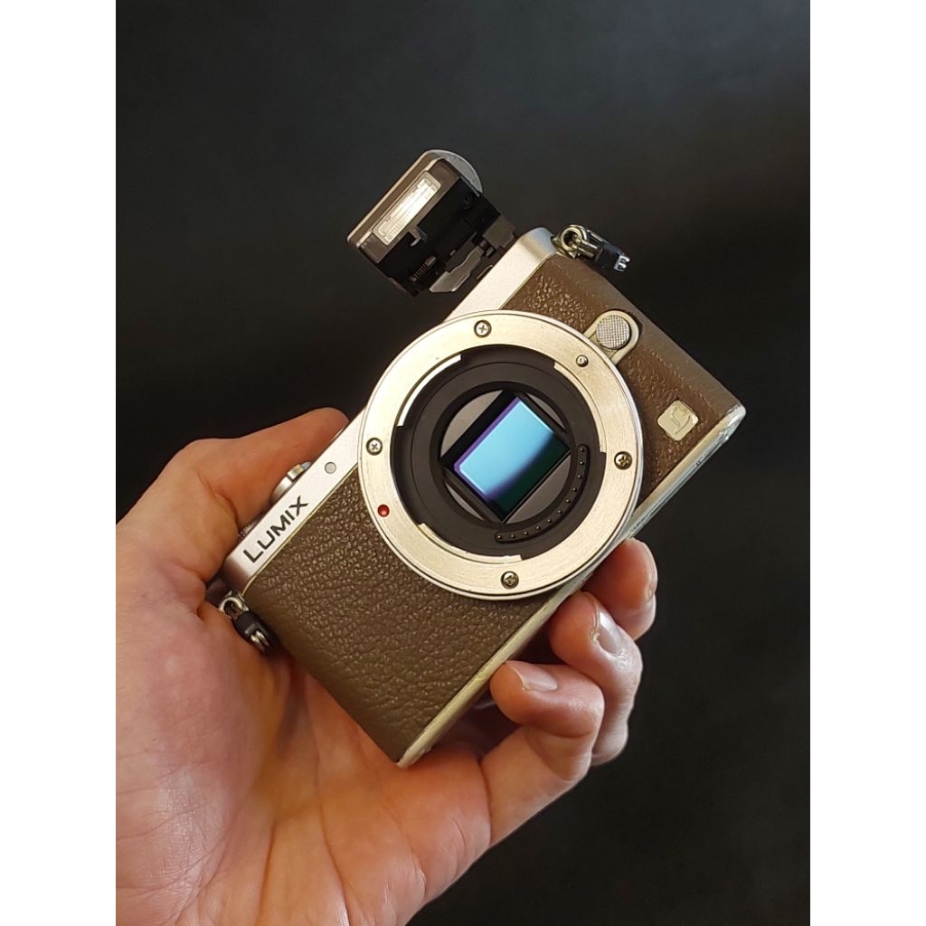 kamera mirrorless lumix gm1