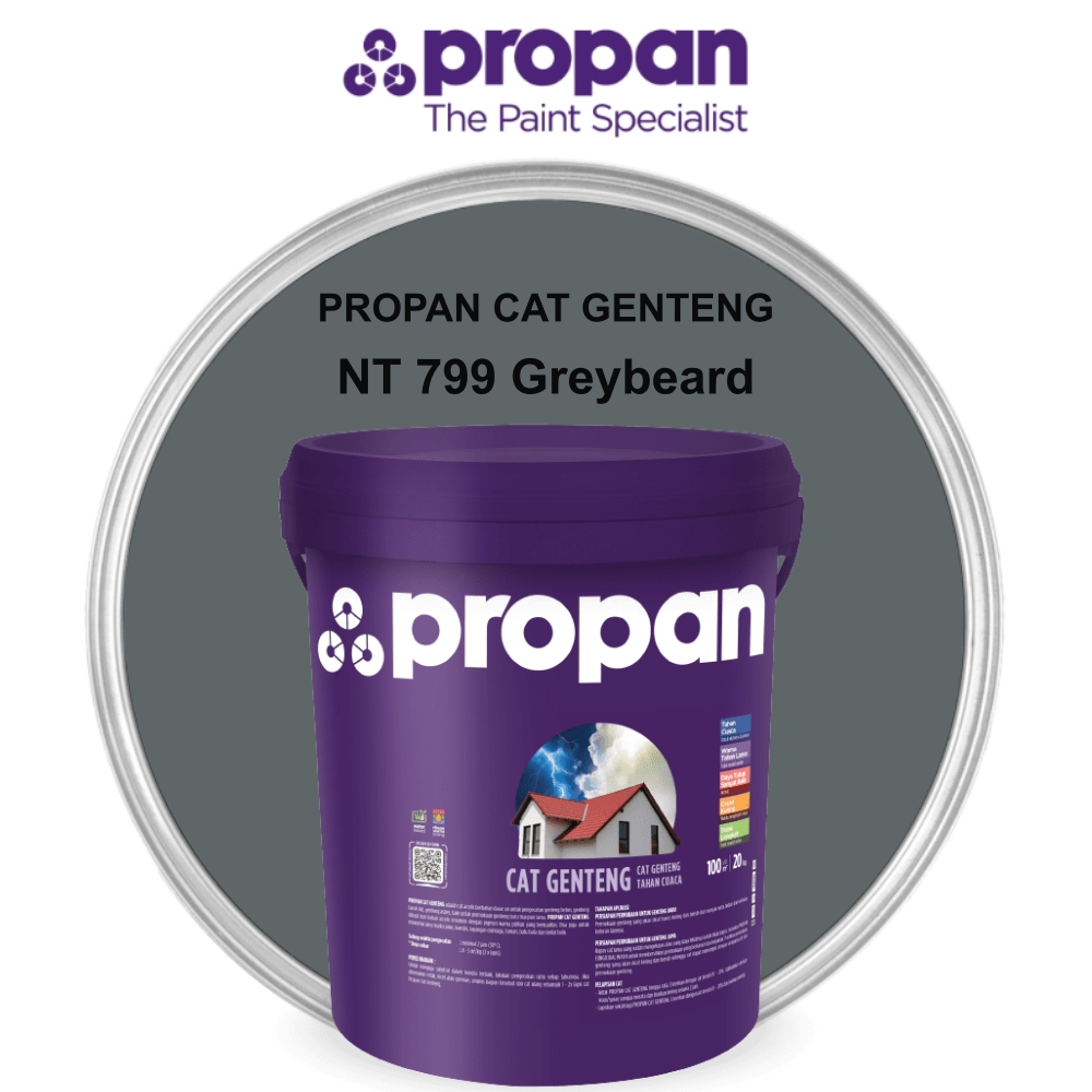CAT ATAP PROPAN CAT GENTENG 20 KG - NT 799 GREYBEARD