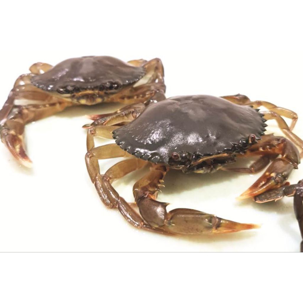 Kepiting Soka/Kepiting Lunak/Soft Shell Crab 1 kg