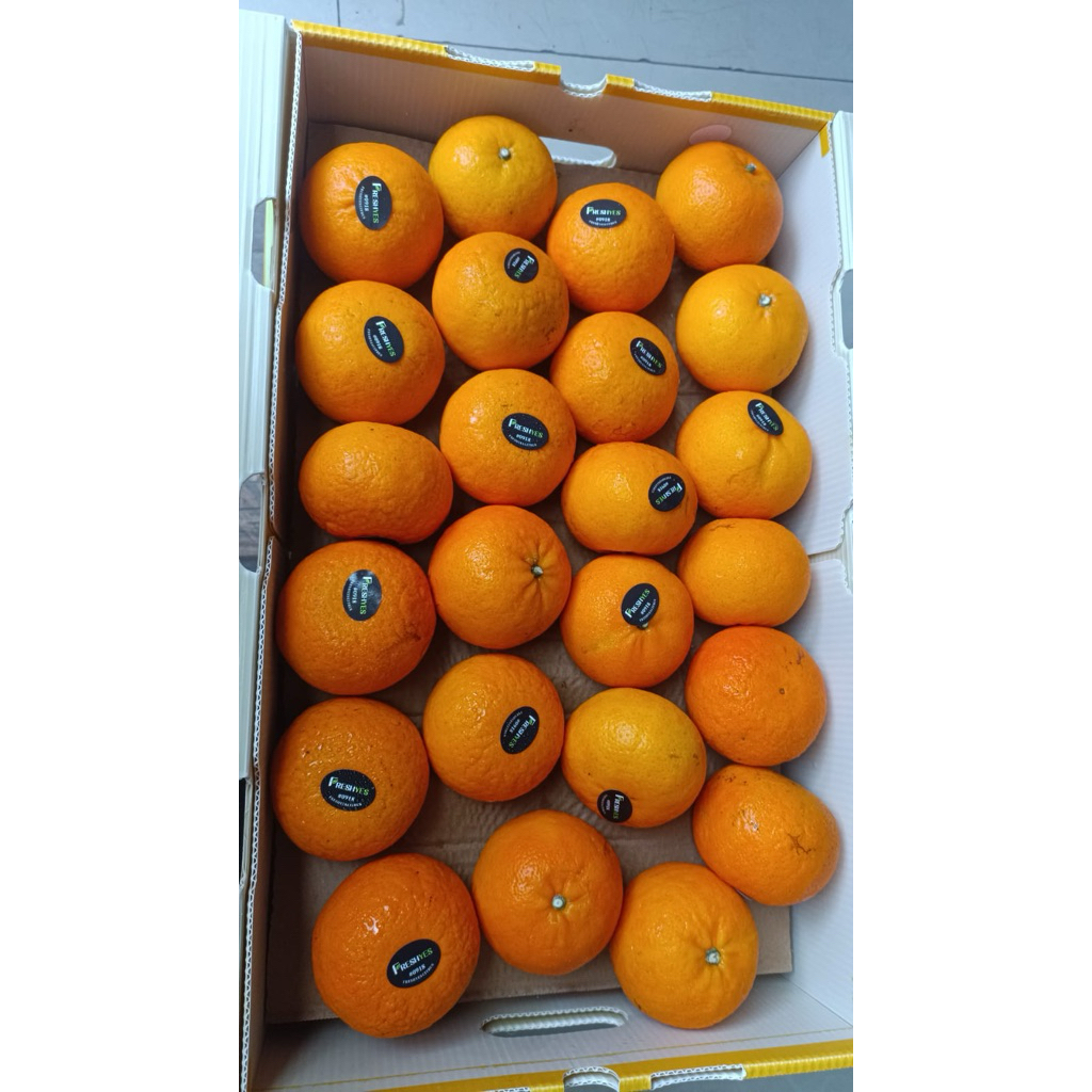 jeruk wogam rrt 9kg manis
