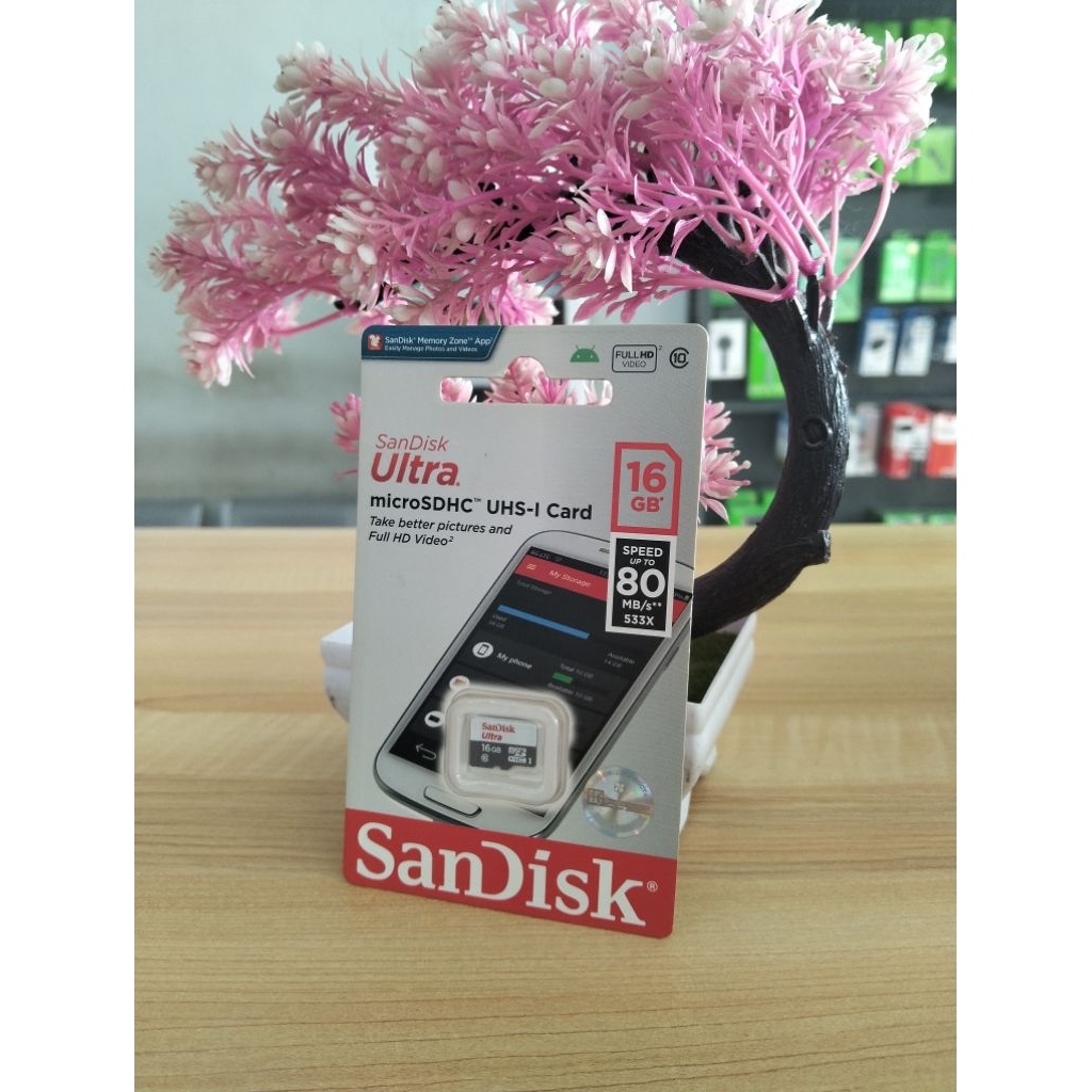 MEMORI SANDISK 16 GB