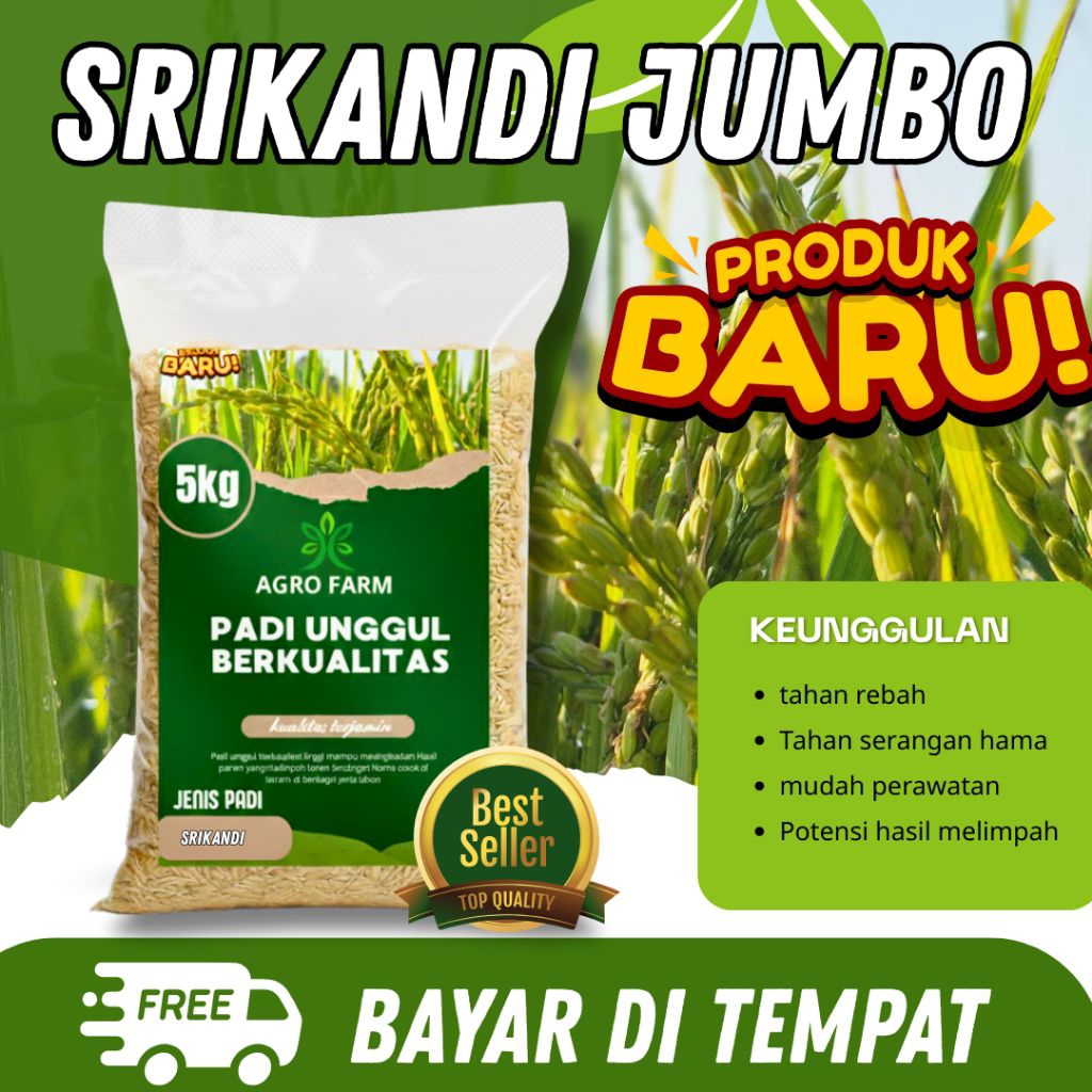 Padi Unggul SRIKANDI JUMBO 1-5 KG Benih padi unggul