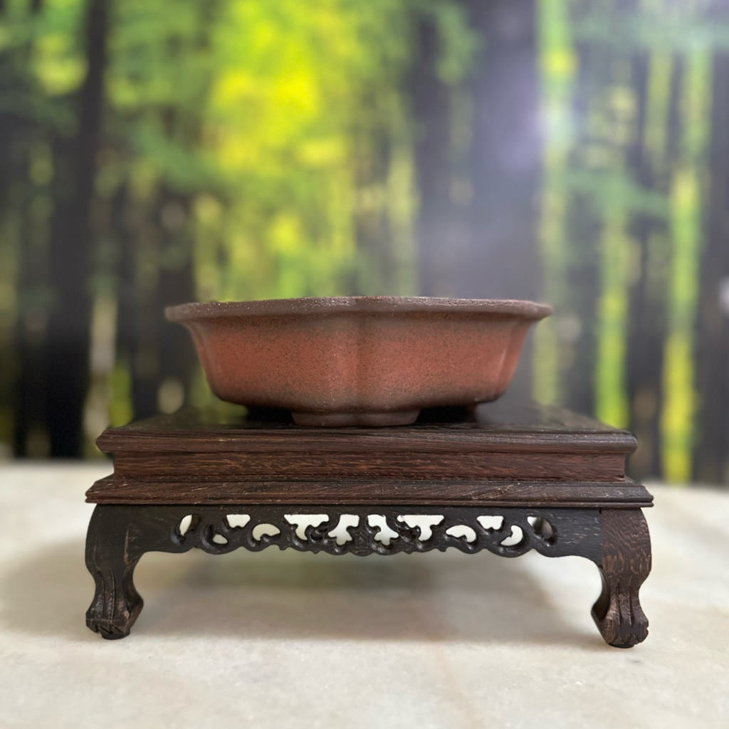 Pot Bonsai Yixing Zisha Lotus Bowl | Diameter 19 cm | Pot Dangkal Bonsai & Succulent