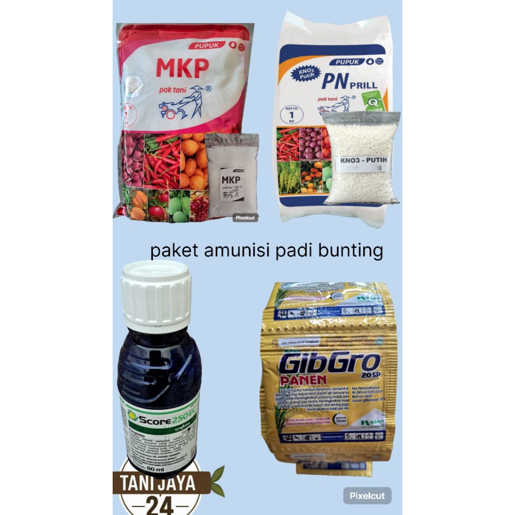 paket amunisi padi bunting MKP+KNO3 PUTIH+ZPT GIBGRO 20SP+fungisida SCORE