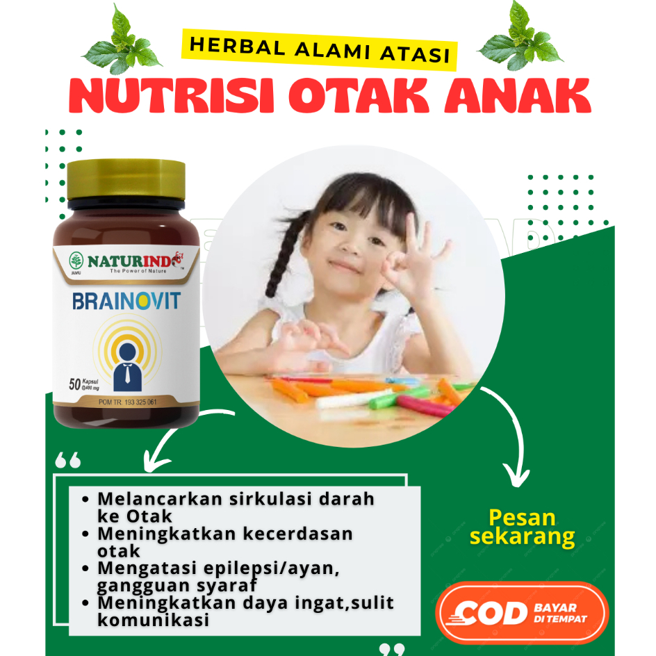 Suplemen Nutrisi Otak Tingkatkan Kecerdasan Daya Ingat Vitamin Otak Anak Cerdas dan Dewasa Brainovit
