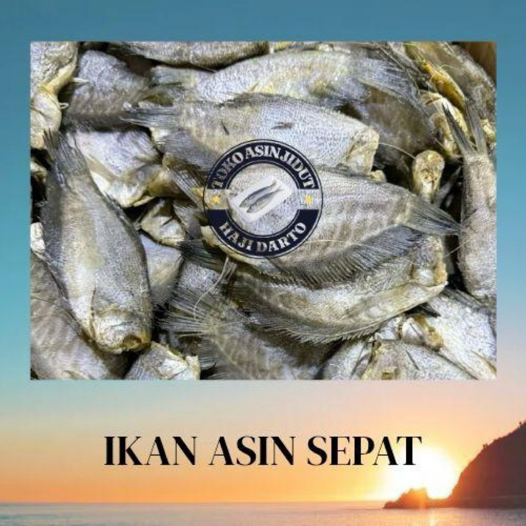 Ikan Asin Sepat Siam Ukuran Sedang 1Kg