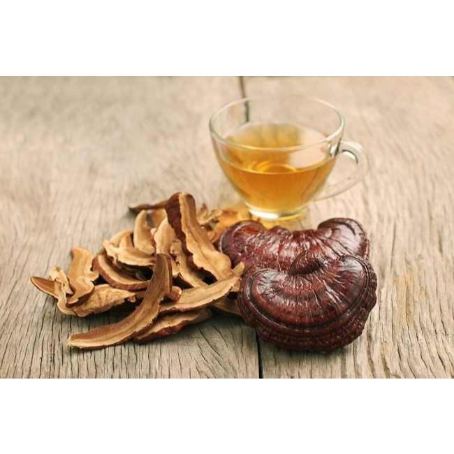 jamur lingzhi kering asli 100 gram