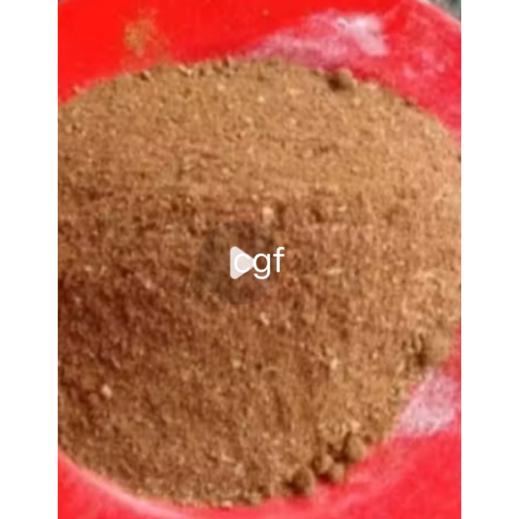 cgf bahan baku pakan ternak