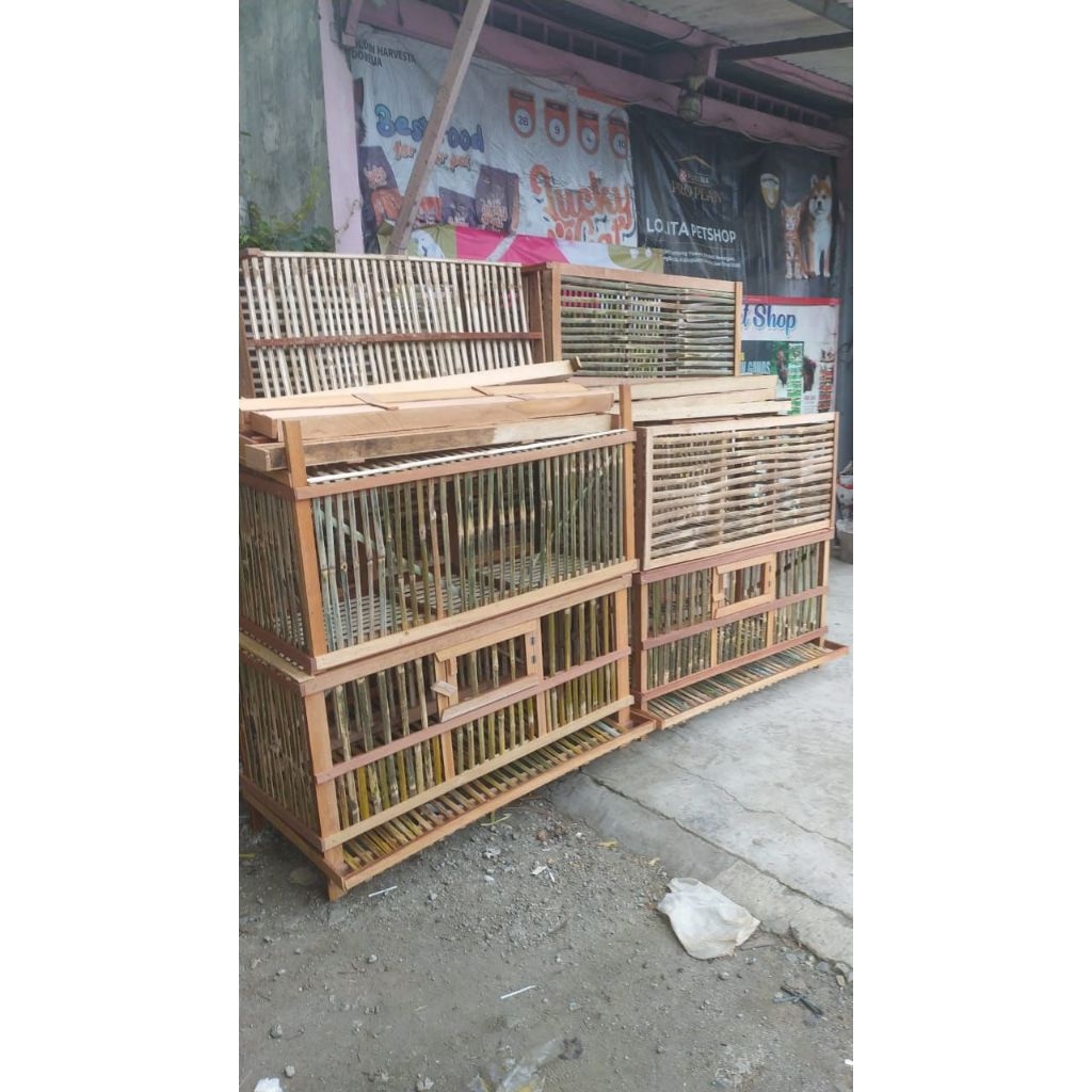 kandang ayam petelur isi 10 ekor kandang petelur murah