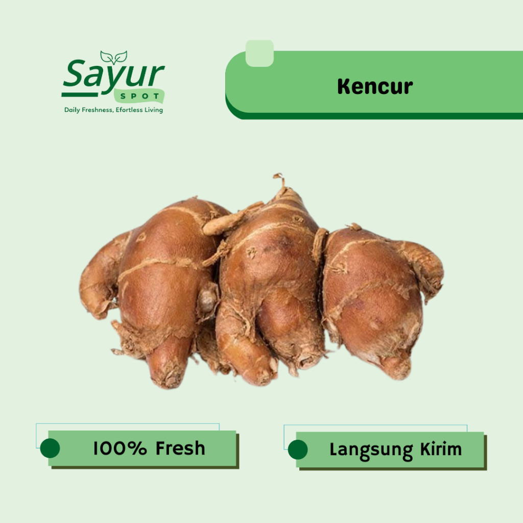 Kencur / Cikur Segar / Sayur Bekasi | Sayur Spot Bekasi