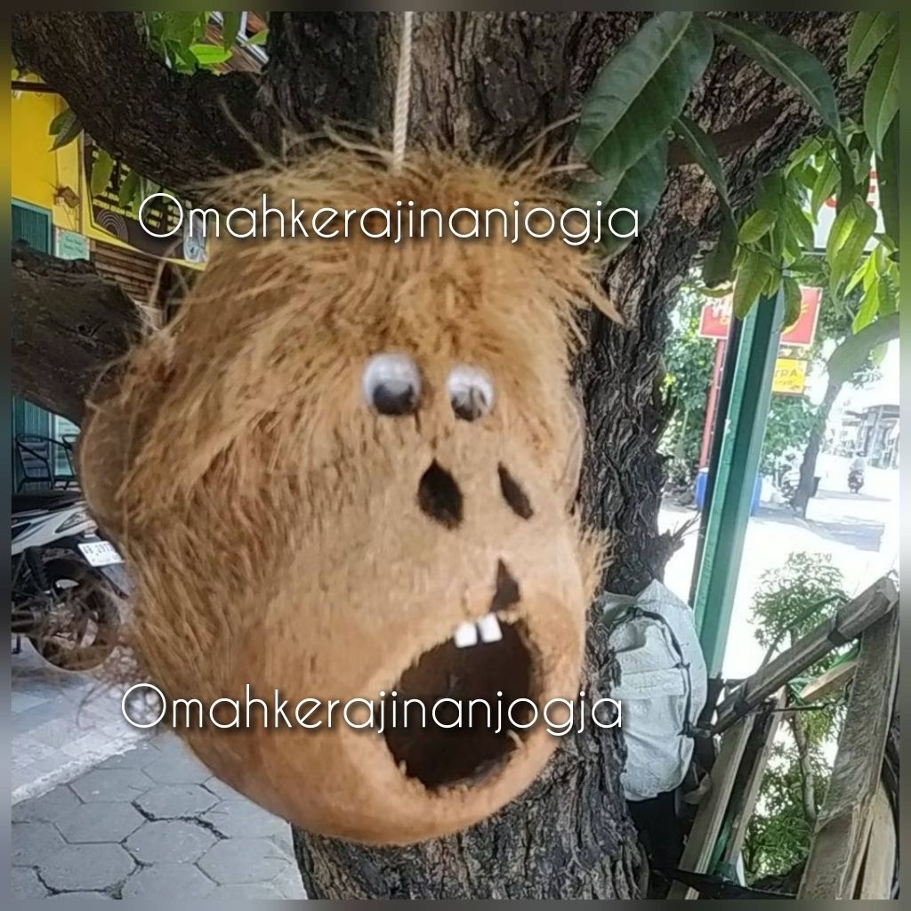 hiasan tempurung kelapa , biasan , hiasan unik , batok kelapa