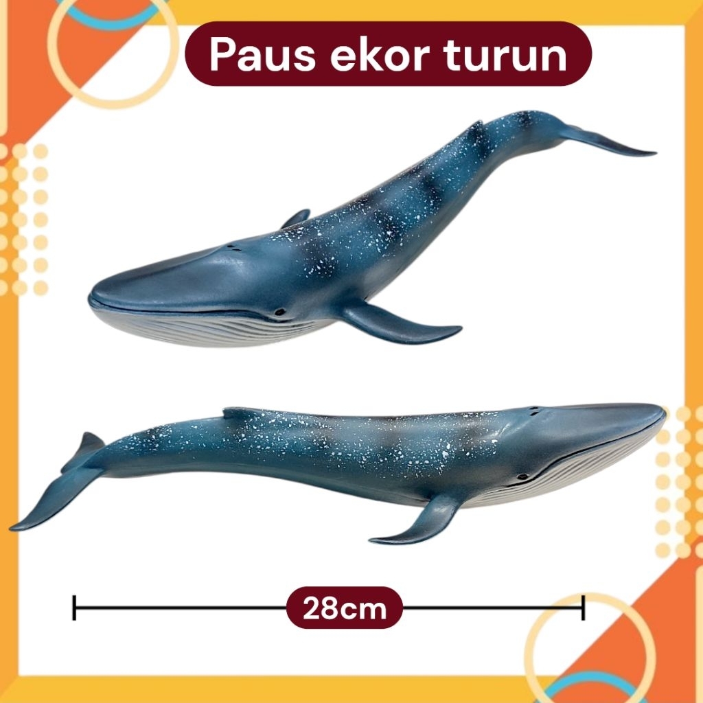 Mainan Ikan Paus Biru Shark Hewan Laut Hiu Paus Kolkesi Minan Binatang ikan