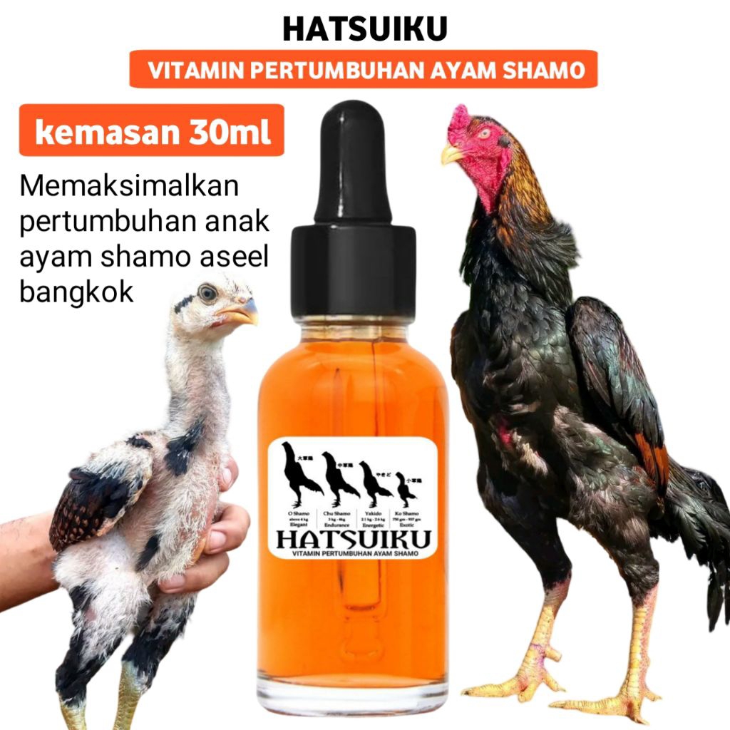 Vitamin anak ayam shamo