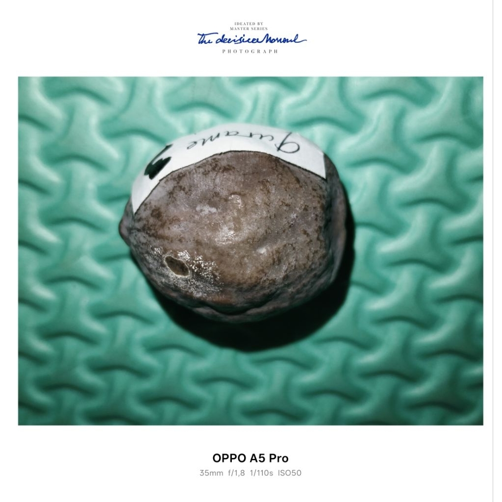 muncang jalim gurame original bah encep