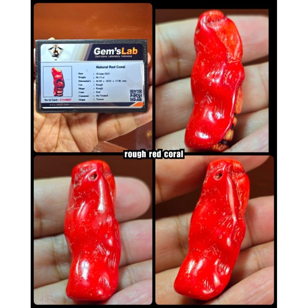 batu Marjan asli laut merah yemen mediterranean