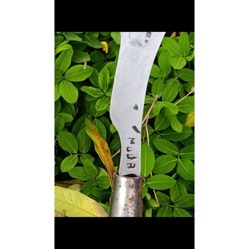 alat pertanian, arit/sabit rumput baja isen wonosobo