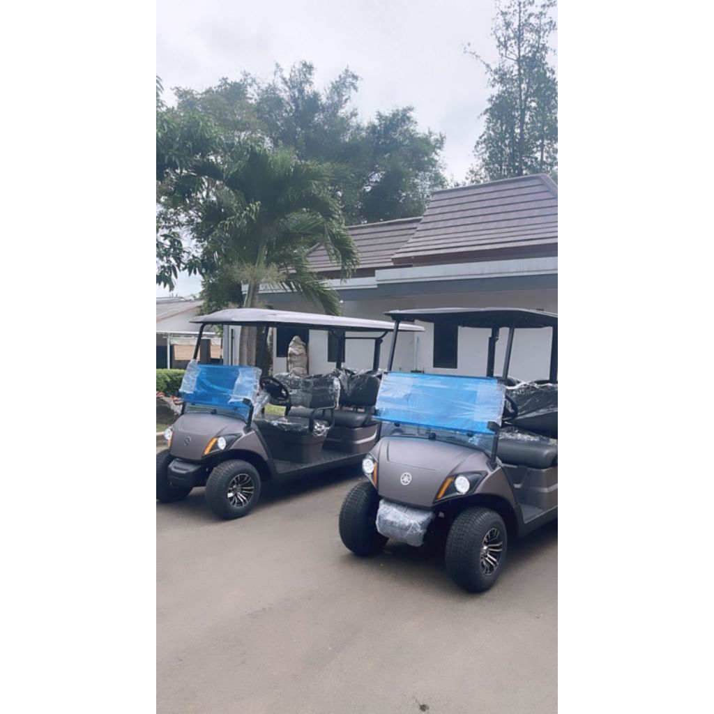 Golf Car / Mobil Golf / Buggy Car Rekondisi 2/4/6/8 Seaters