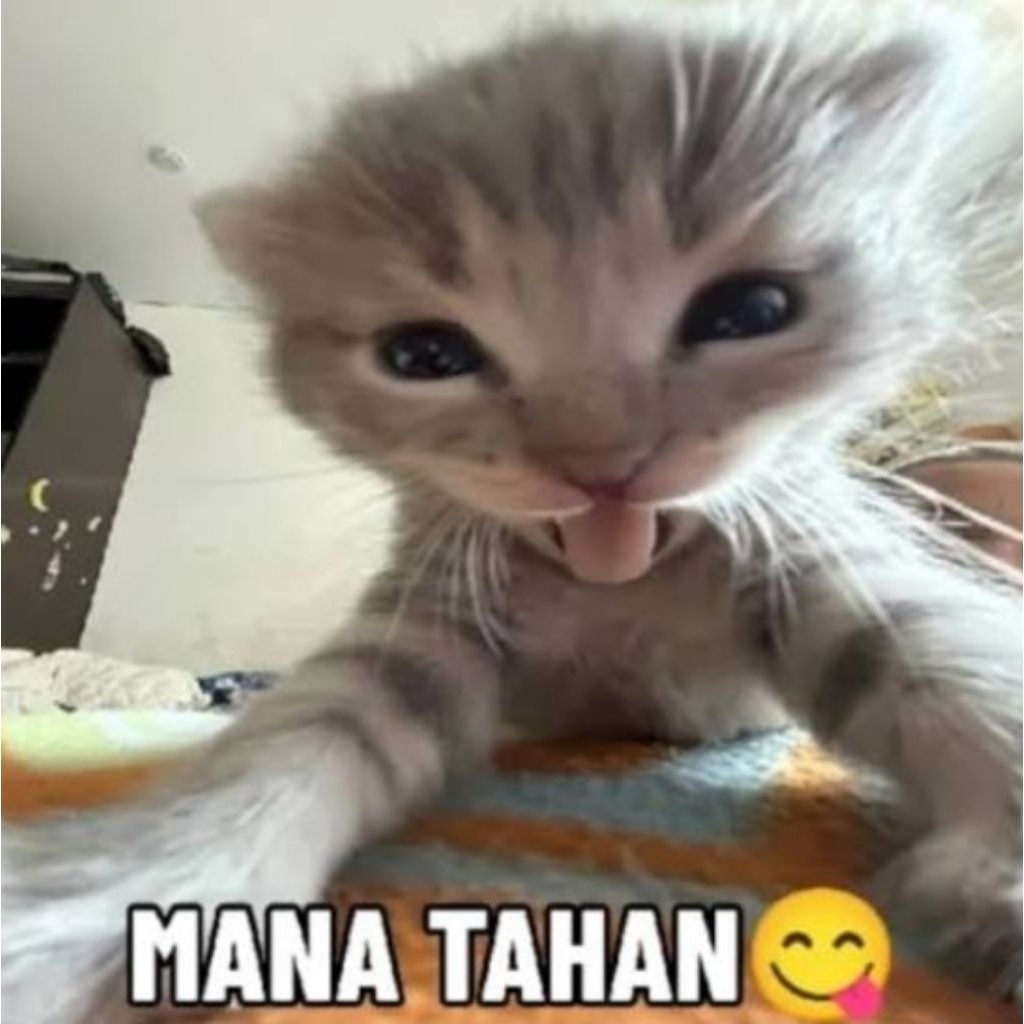 HIDUP WINDAH BASUDARA