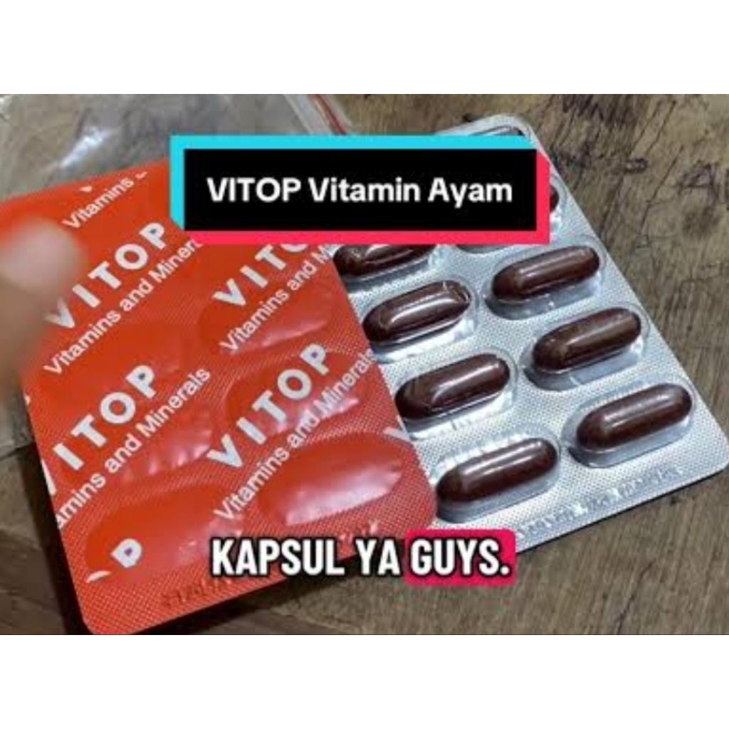 Vitop Vitamin ayam laga