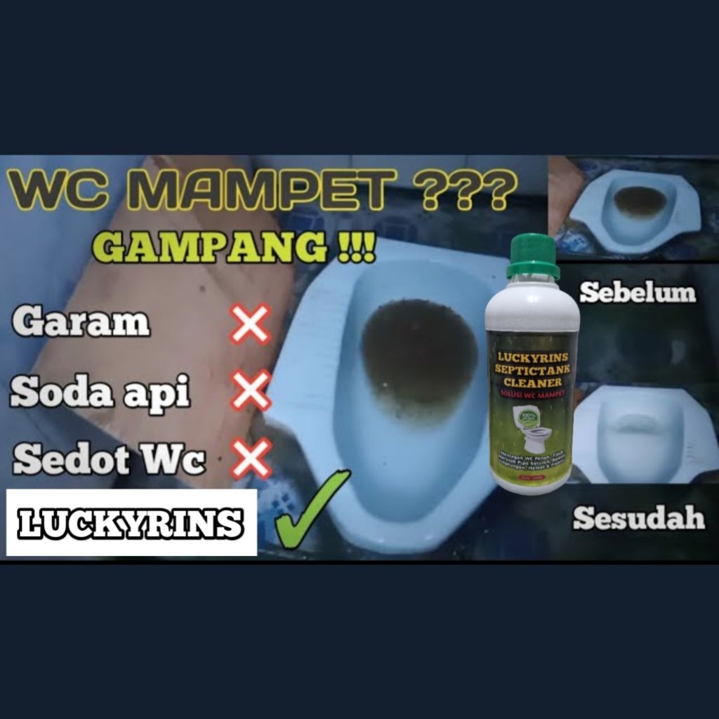 SOLUSI PENCEGAH WC MAMPET OBAT WC MAMPET