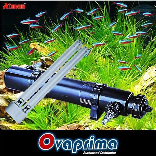 Atman UV36W Lampu UV 36 watt Pembasmi Lumut & Anti Air Hijau UV Clarifier/Sterilizer UV-36W