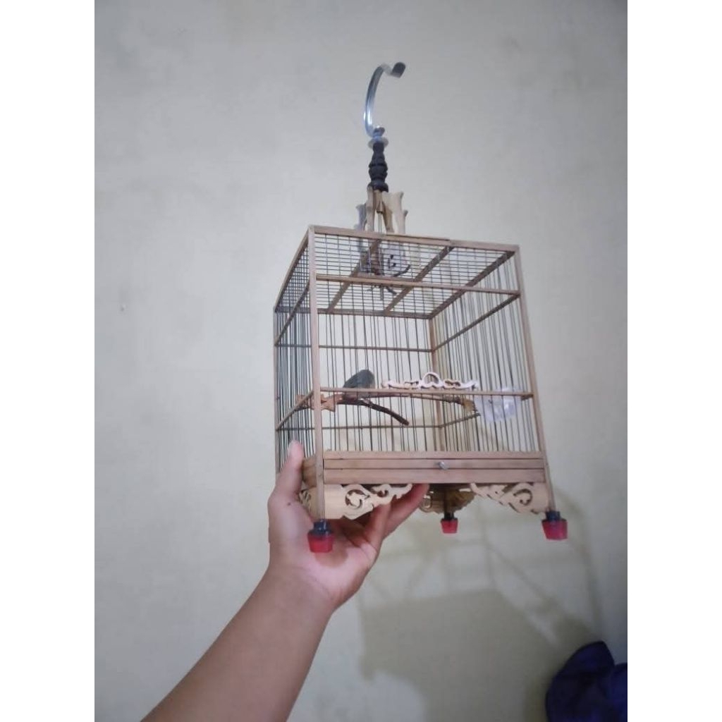 kandang cungkok bambu / kandang jalan²