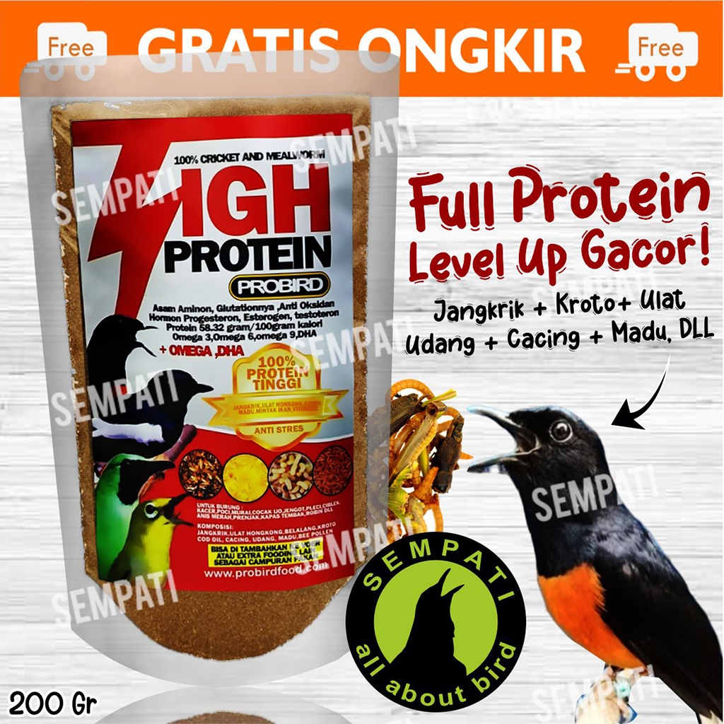 SEMPATI HIGH PROTEIN VOER PROBIRD PAKAN BURUNG KACER MURAI CUCAK HIJAU PLECI DLL