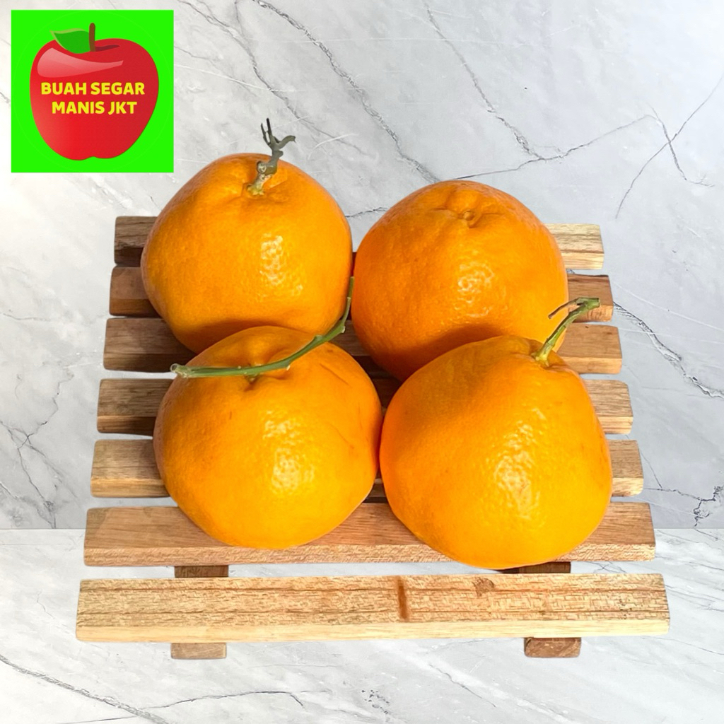 JERUK DEKOPON PAPAGAN CHUN JIAN SUMO MANDARIN