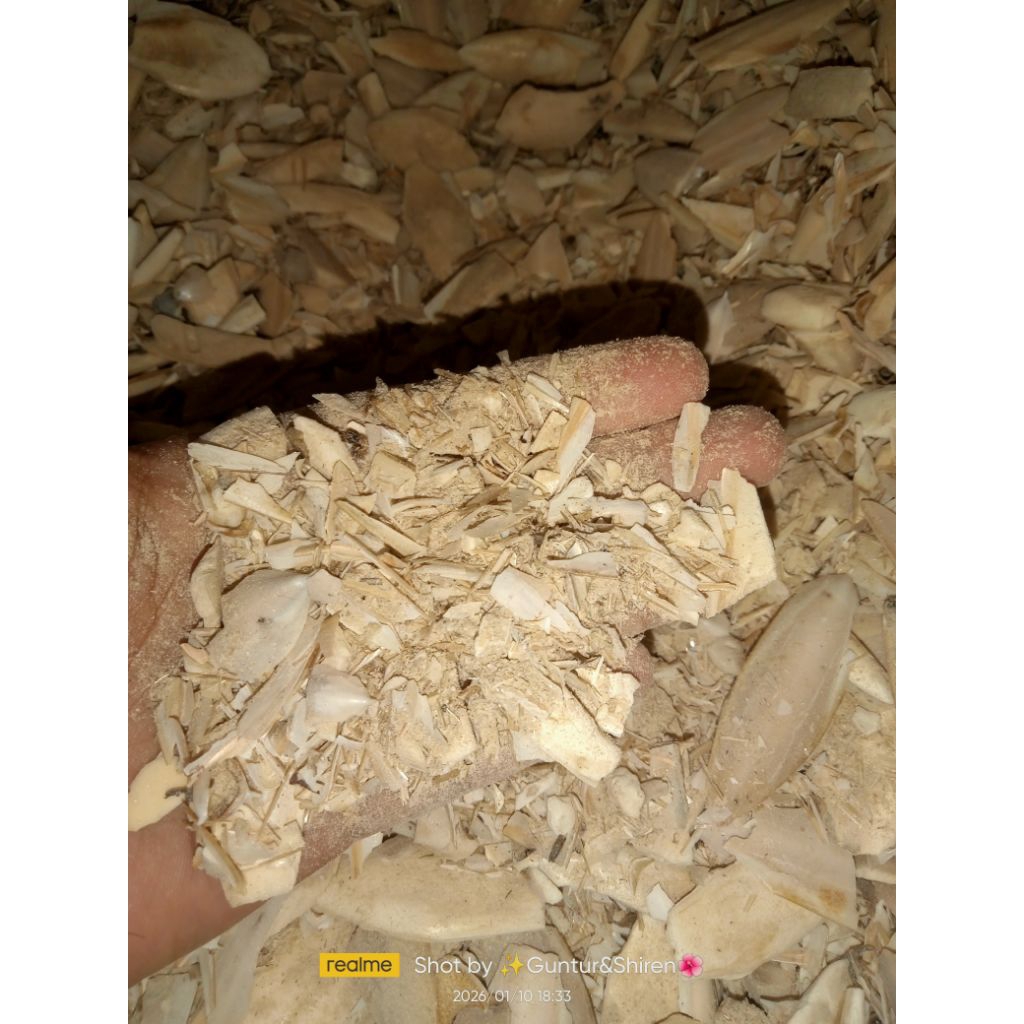 Serbuk kasar tulang sotong 1kg