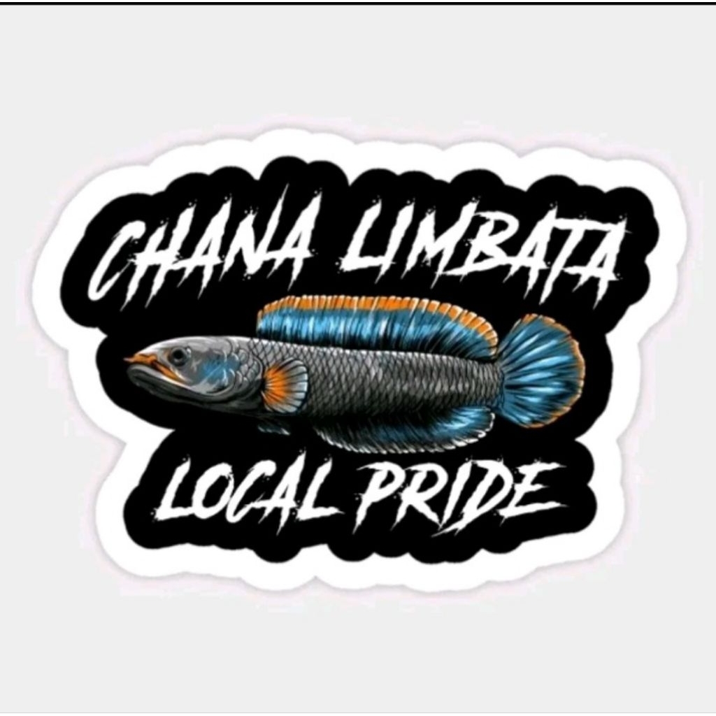 BABY LIMBATA WC SIZE 7-10 CM