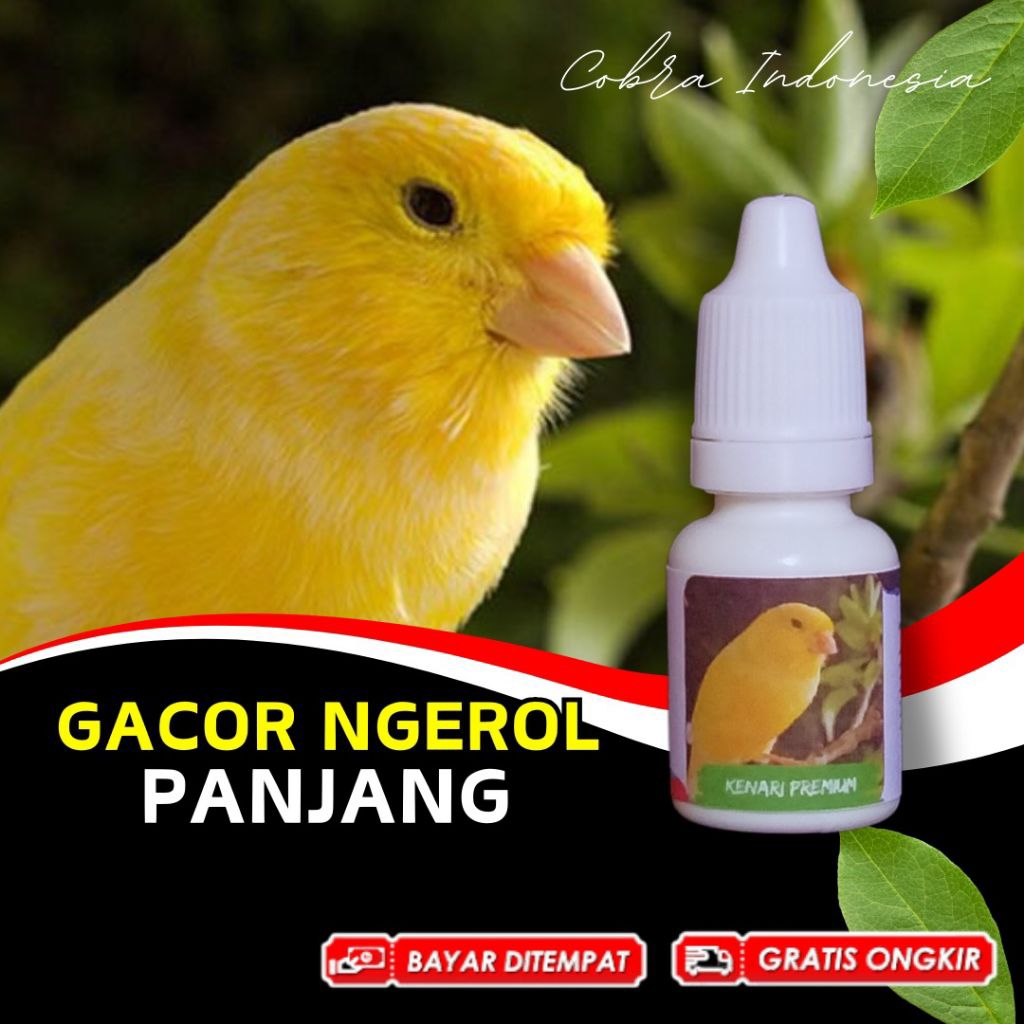 Vitamin Burung Kenari Gacor