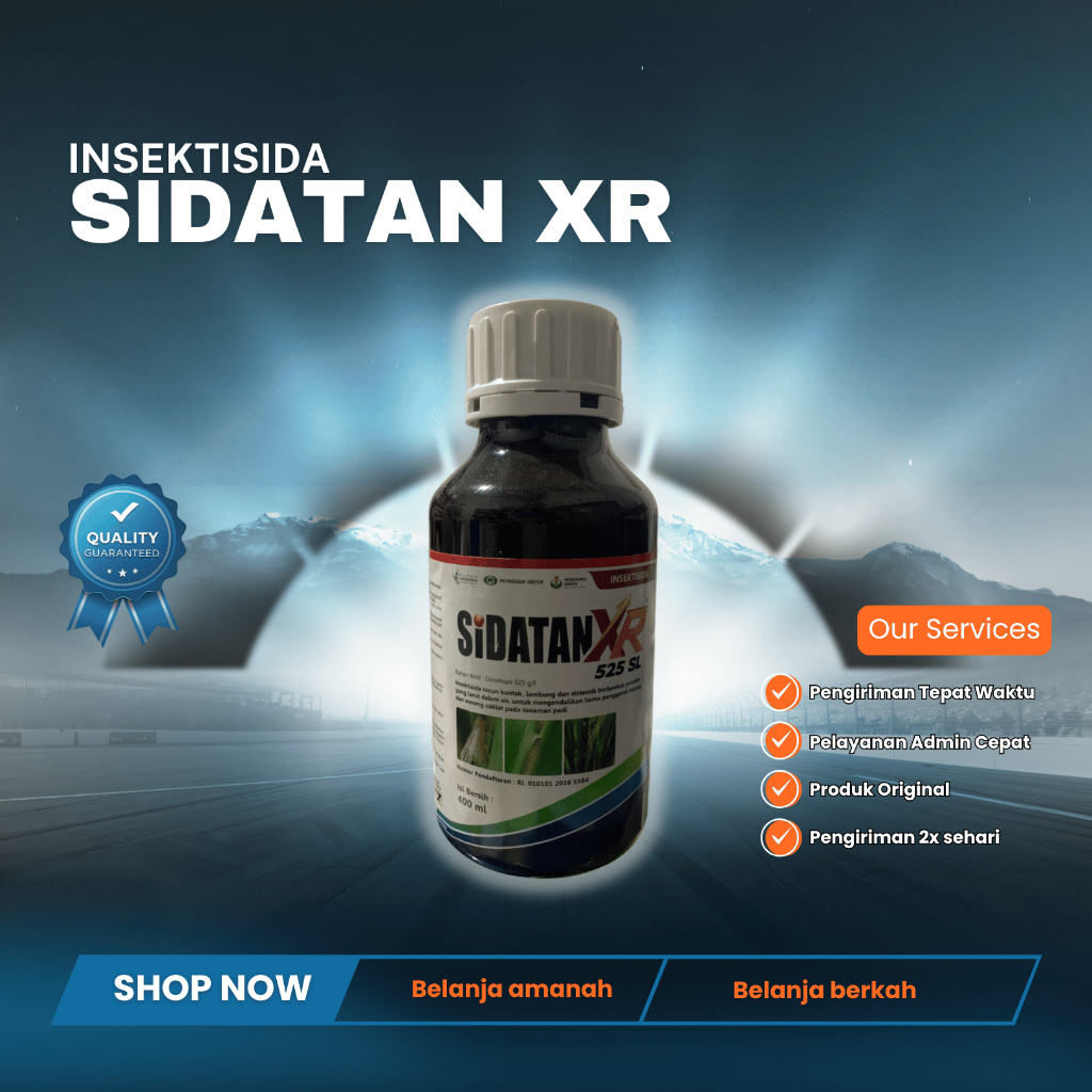 Insektisida Sidatan XR 500 ml untuk mengendalikan penggerek batang/sundep pada padi