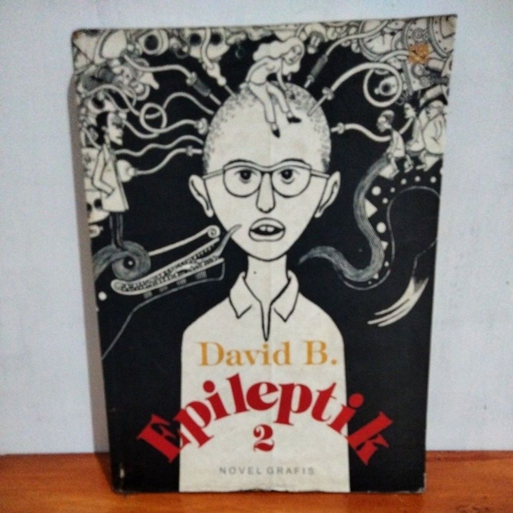 Novel Grafis Epileptik David B.
