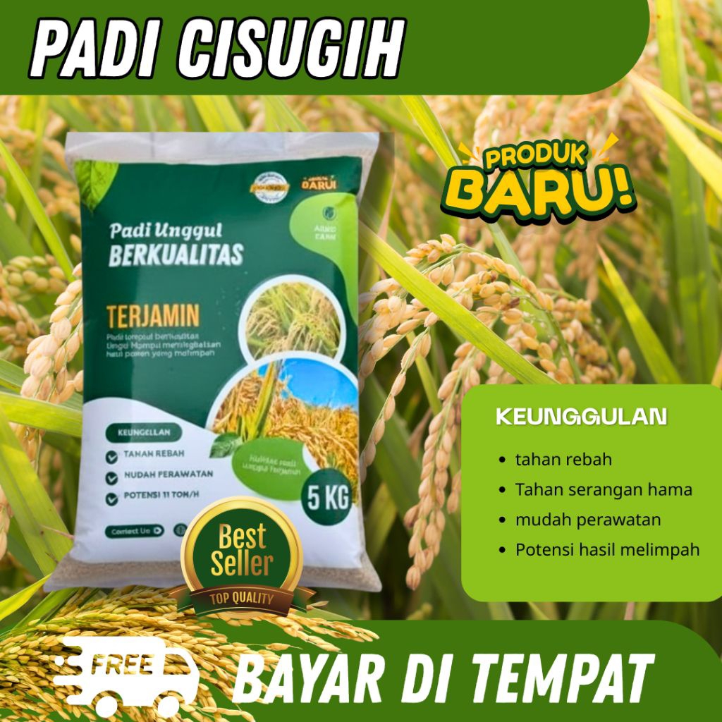Benih padi Bibit padi CISUGIH 5kg Padi Unggul Ciherang Sugih