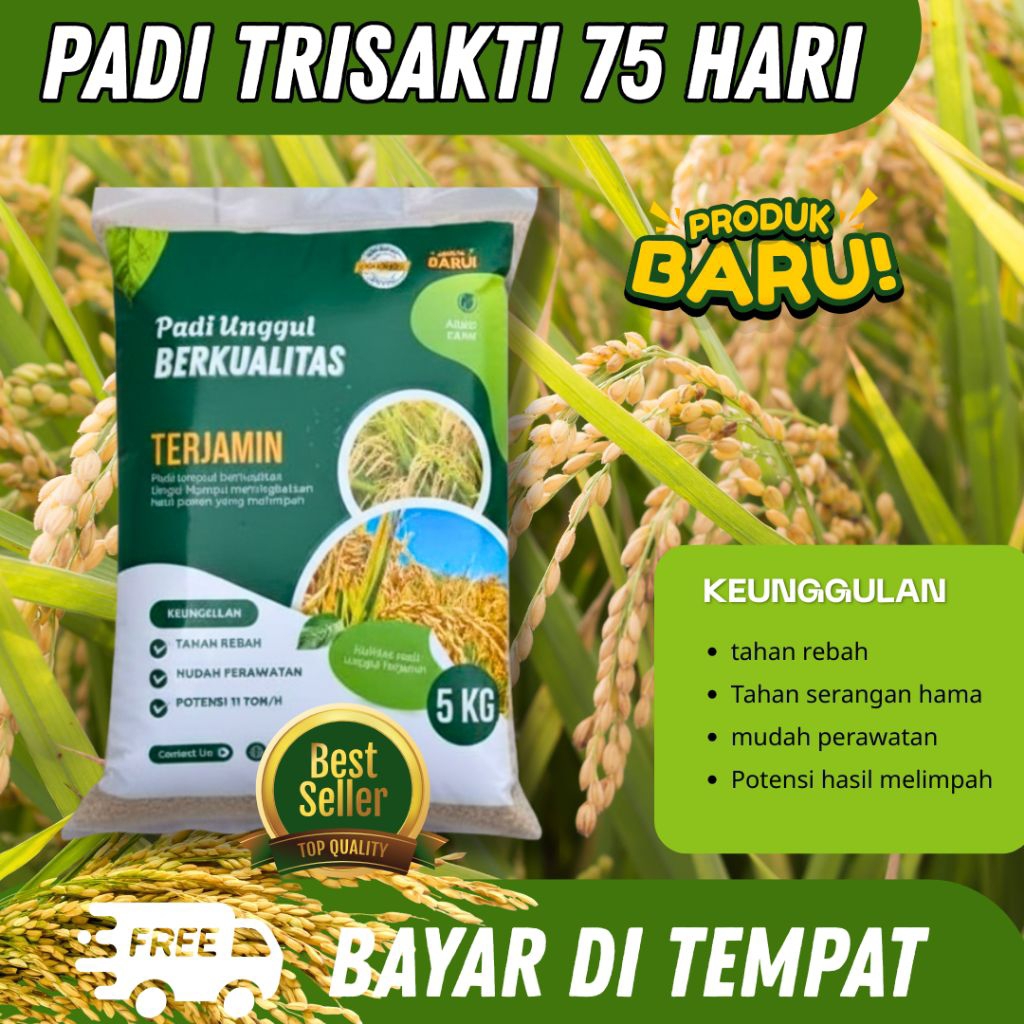 Benih padi Genjah Trisakti keamasan 5kg