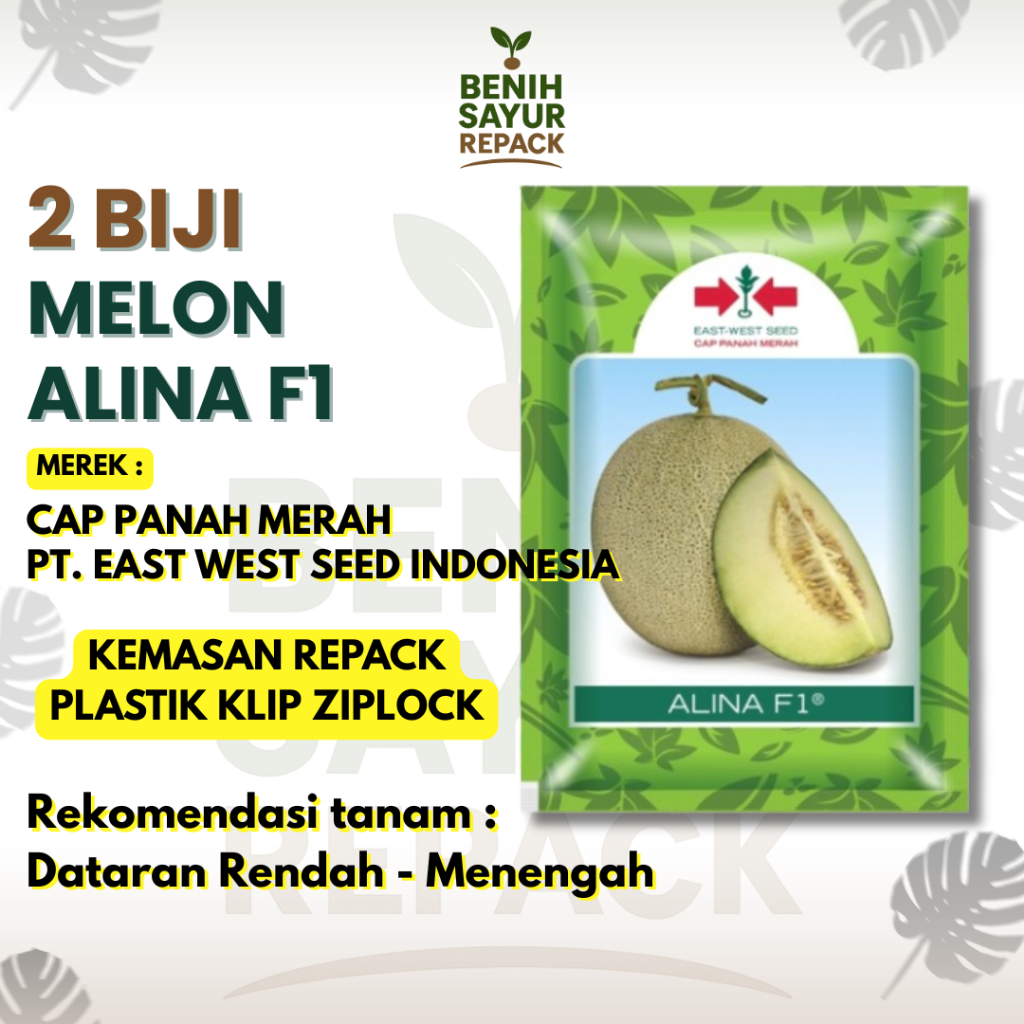 2 Biji Benih Melon Alina F1 - Buah Melon Putih Manis dan Renyah - CAP PANAH MERAH MELON ALINA F1 [ B