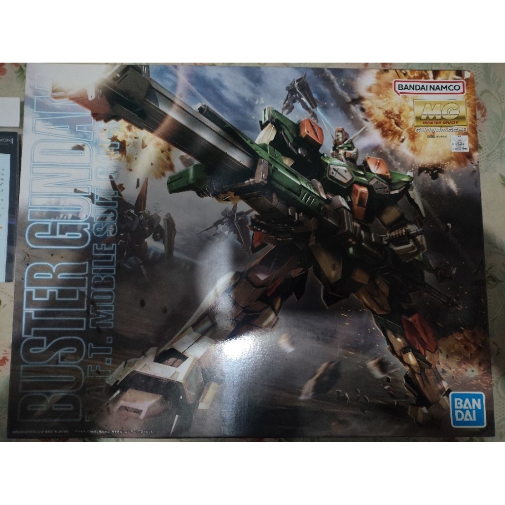 Mg Buster Gundam + Wsd Evo