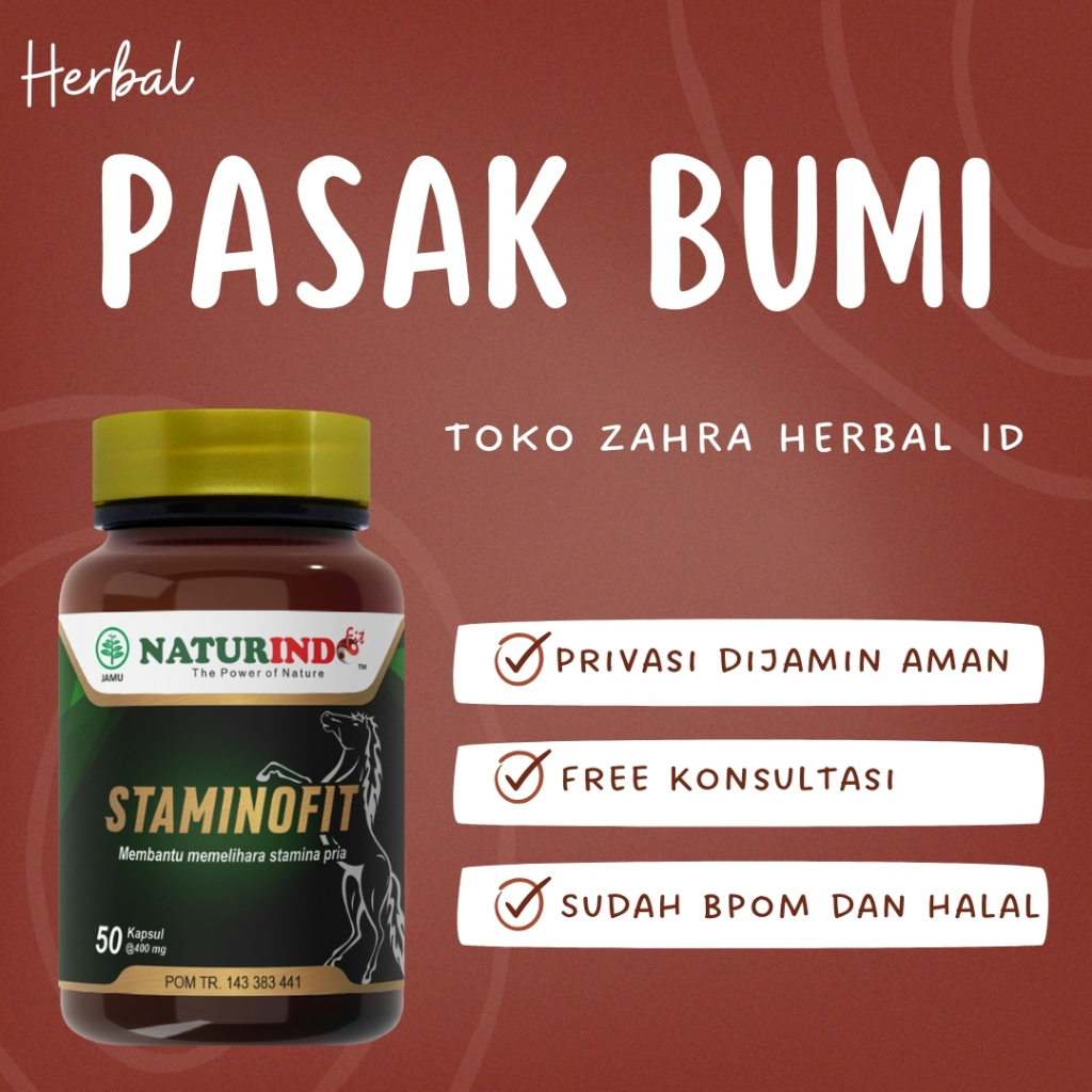 Obat Herbal Pasak Bumi Staminofit Naturindo Suplemen Pria Dewasa Membantu Memelihara Stamina Pria
