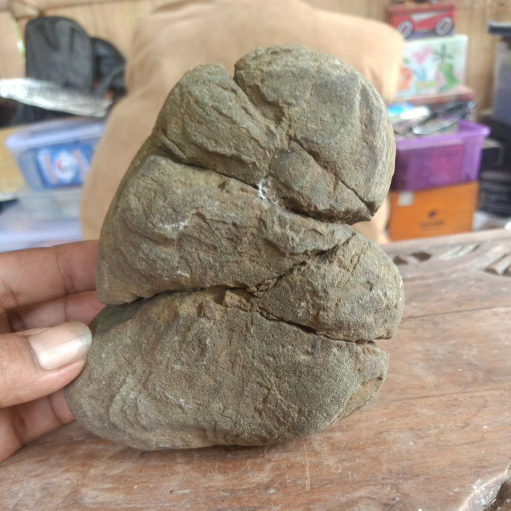 Suiseki / Asli Bentukan Alam / Temuan Sungai #08