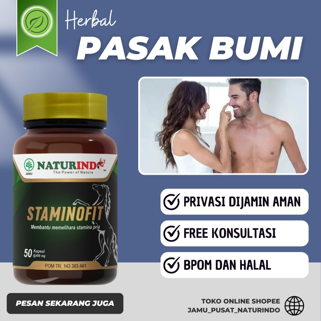 Obat Herbal Pasak Bumi Staminofit Naturindo Suplemen Pria Dewasa Membantu Memelihara Stamina Pria
