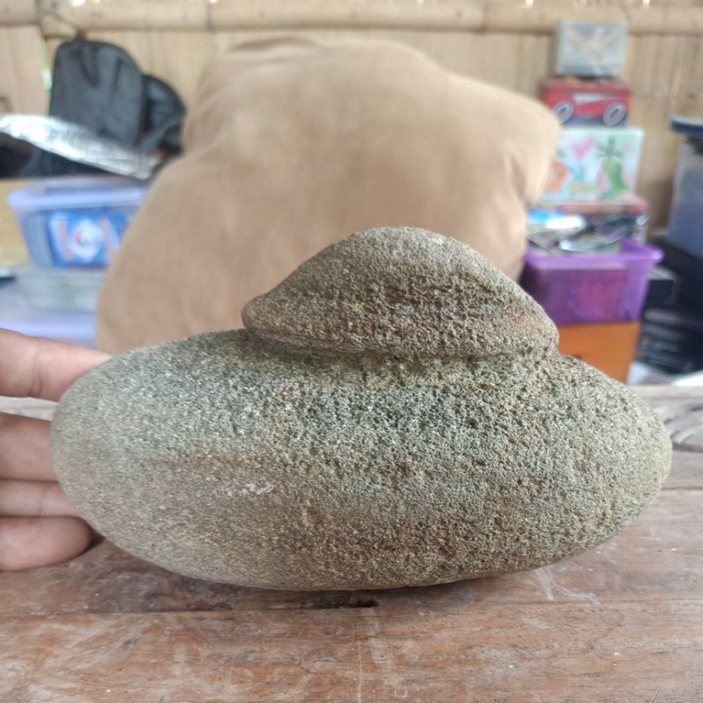 Suiseki / Asli Bentukan Alam / Temuan Sungai #17