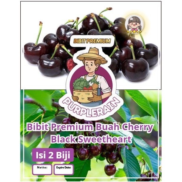 Bibit Premium Buah Cherry Black Sweetheart | Biji Benih Buah Cherry Hitam | Ceri Hitam