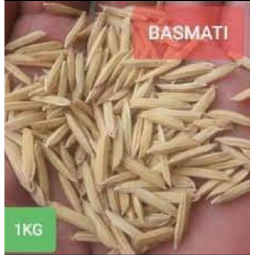 6KG BIBIT/BENIH PADI BASMATI SUPER ORIGINAL BERKUALITAS, RENDAH GULA.