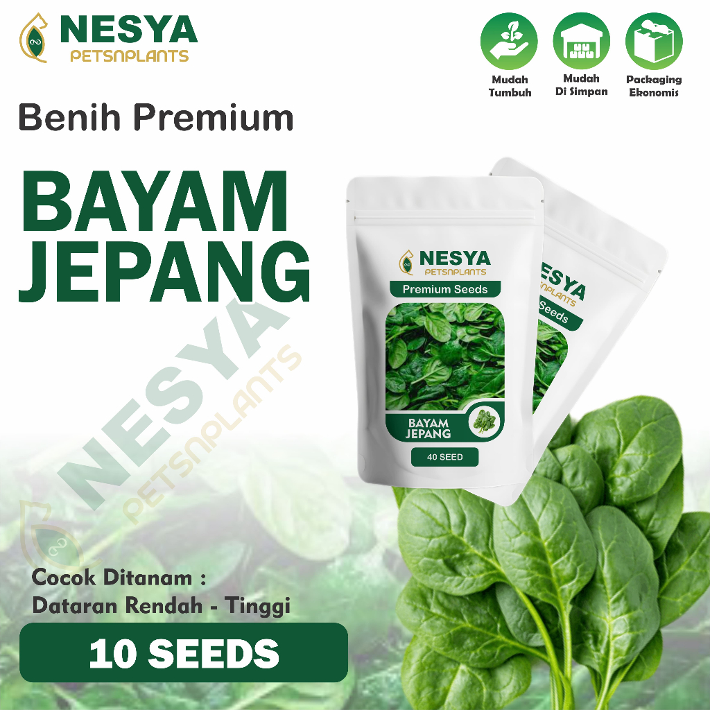 25 Biji Benih Bayam Jepang Sayuran Daun Bayam Jepang